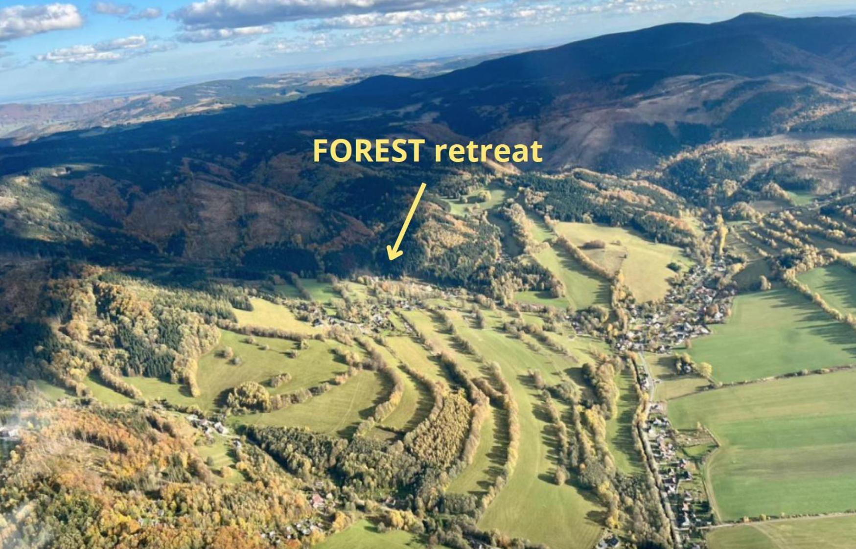 Apartmany New Forest Retreat - U Lesa, S Parkovanim, 300Mbit Internet Jesenik Bagian luar foto
