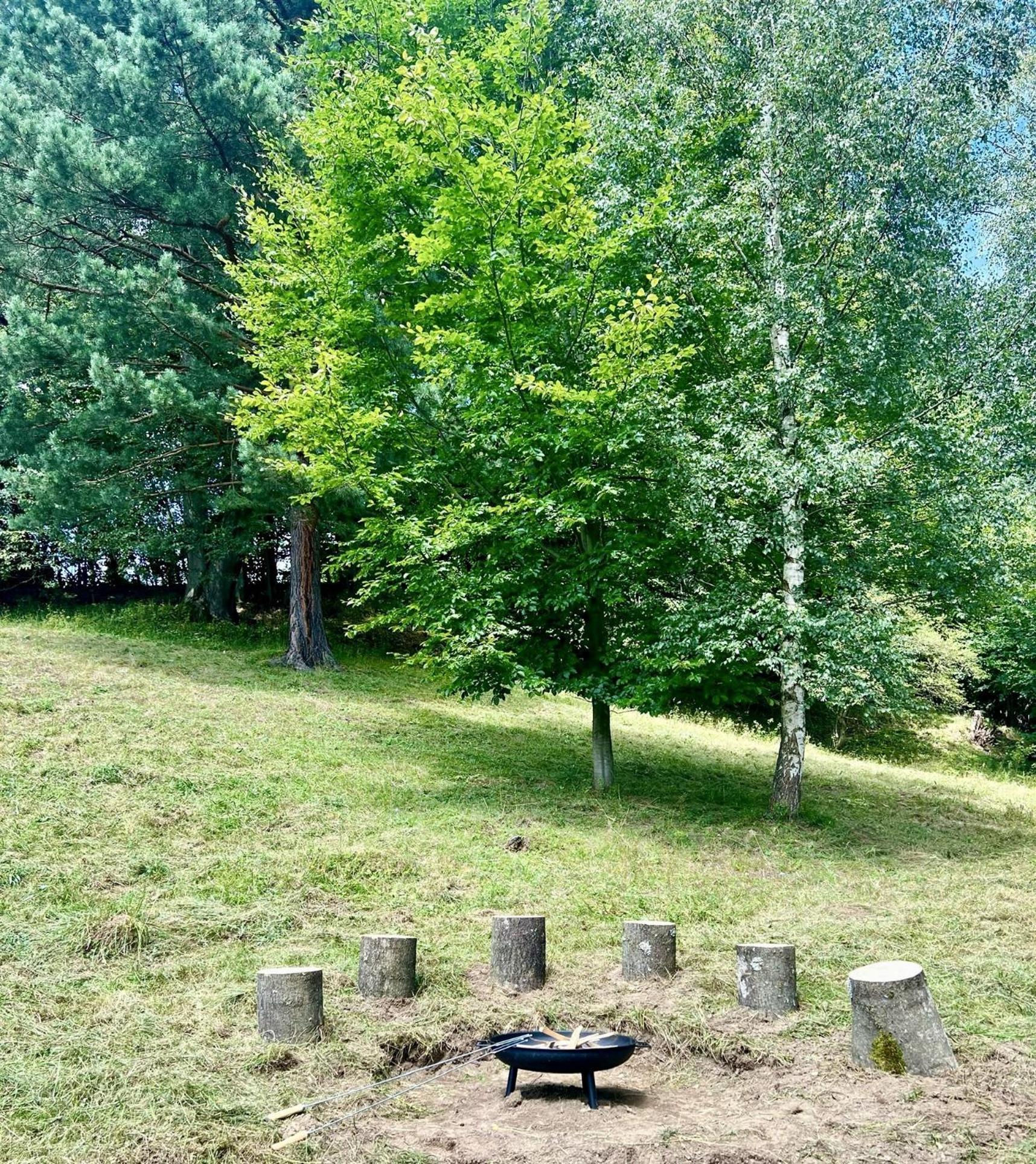 Apartmany New Forest Retreat - U Lesa, S Parkovanim, 300Mbit Internet Jesenik Bagian luar foto